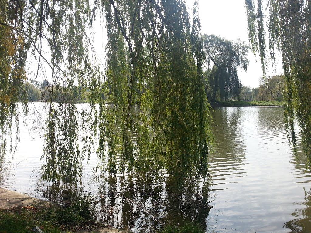 Ланівці з panoramio.com - Ланівці