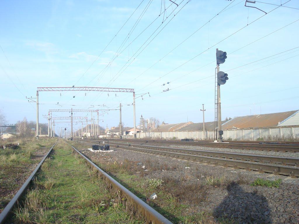 Війтівці з panoramio.com - Войтовцы