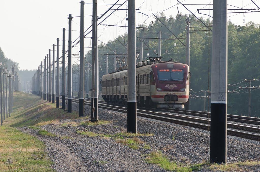 Головач з panoramio.com - Головач