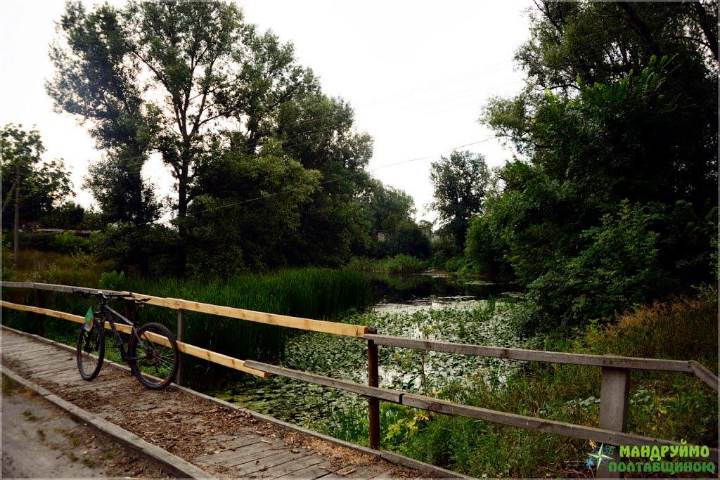 Васьки з panoramio.com - Васьки