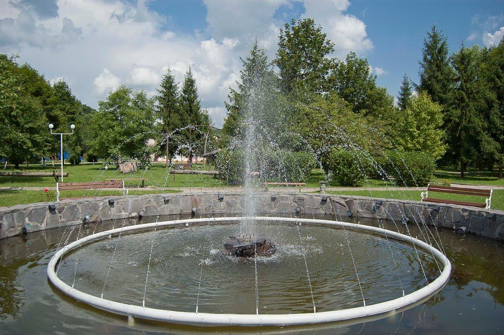 Виноградів з panoramio.com - Виноградов