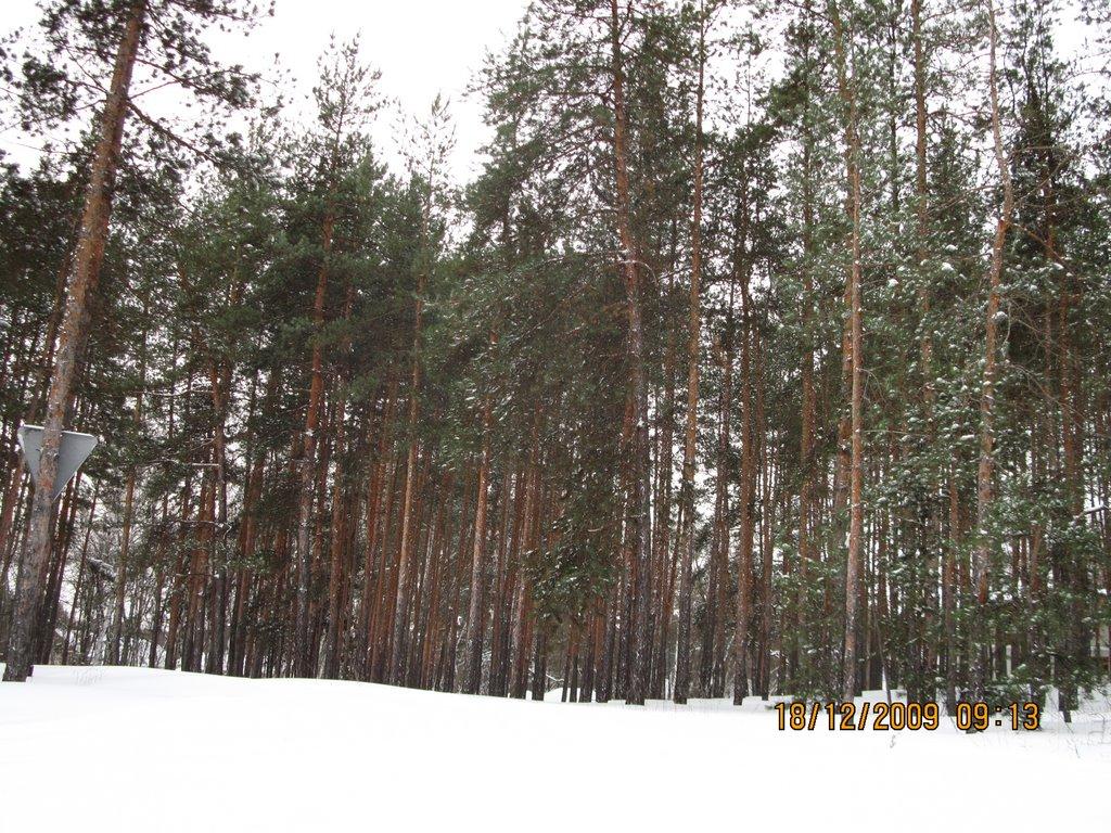 Райгородок з panoramio.com - Raygorodok