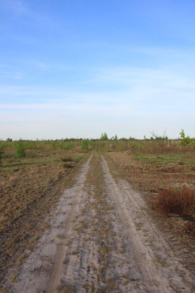 Залізня з panoramio.com - Залізня