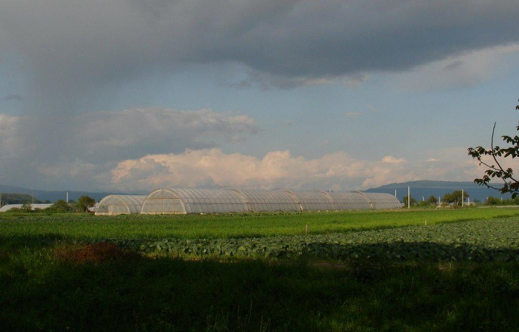 Шаланки з panoramio.com - Шаланки