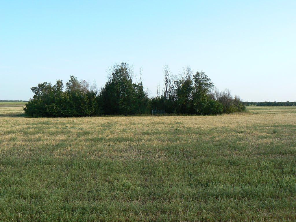 Червоноселівка з panoramio.com - Червоноселівка