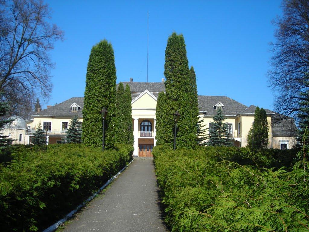 Неслухів з panoramio.com - Неслухів