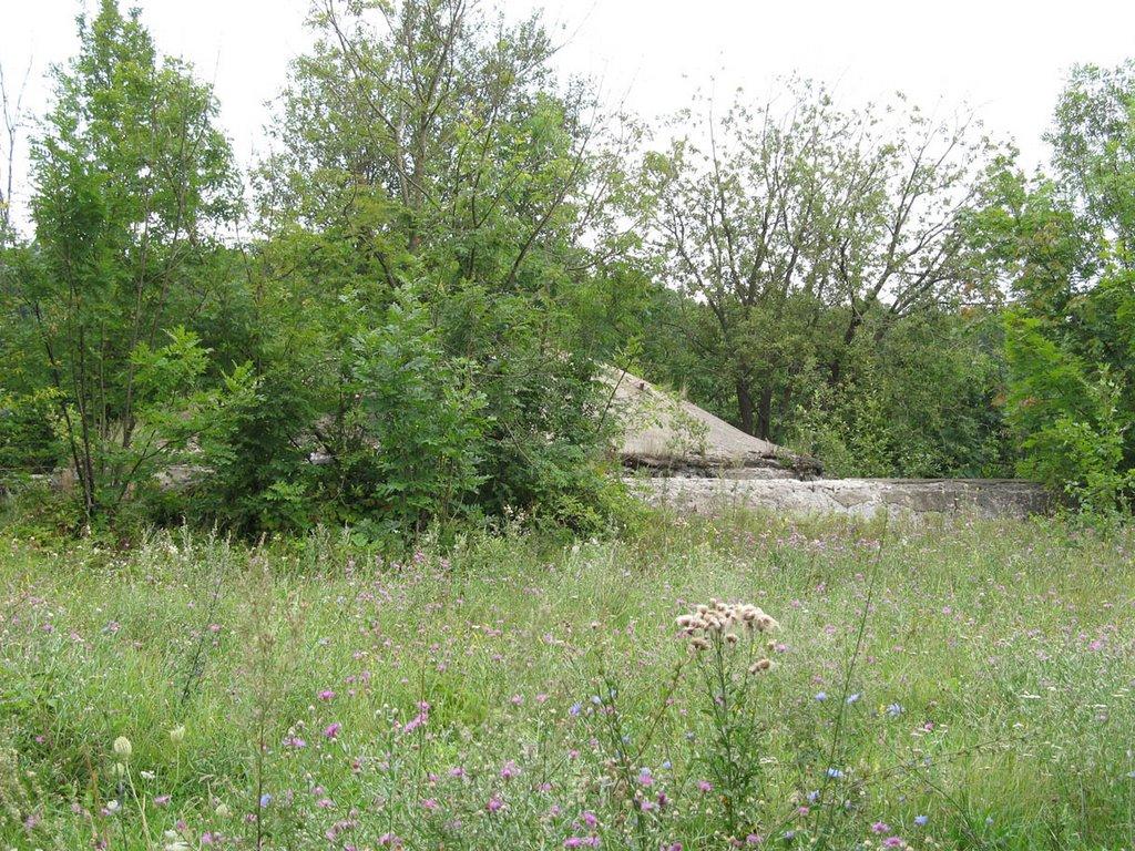 Дзензелівка з panoramio.com - Дзензелевка