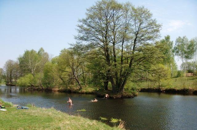 Щорсівка з panoramio.com - Білошиці