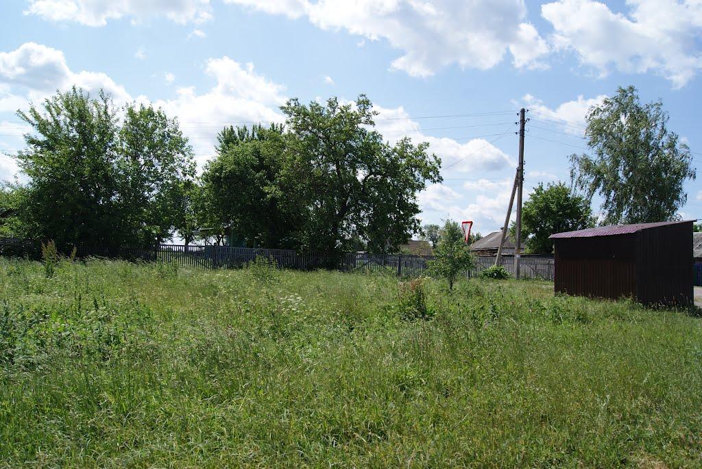 Смолянка з panoramio.com - Смолянка