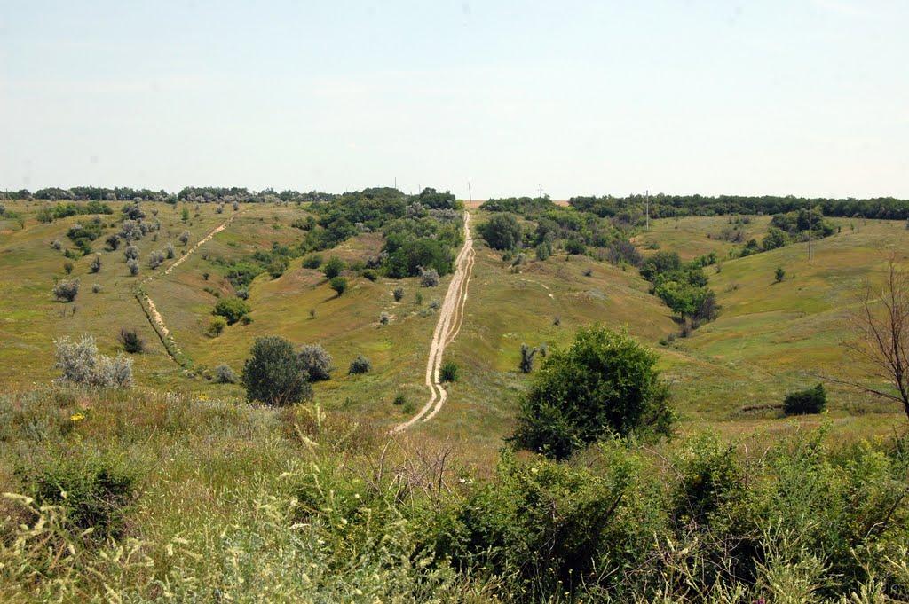 Причепилівка з panoramio.com - Причепиловка