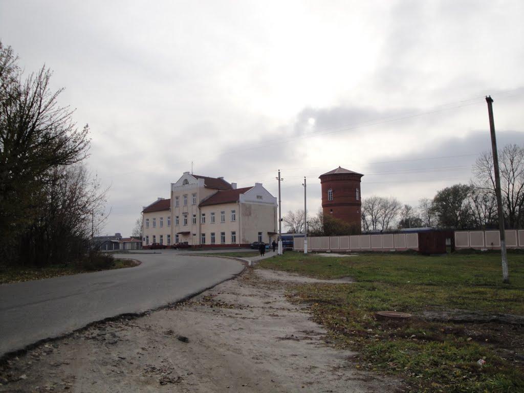 Кусії з panoramio.com - Кусеи