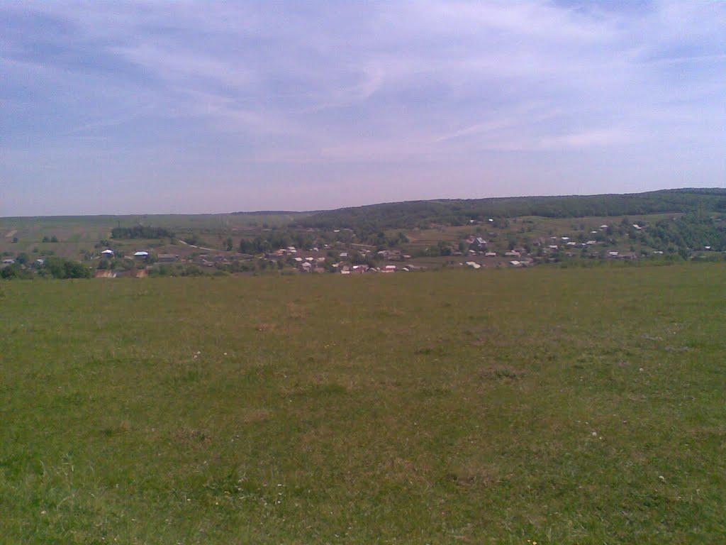 Порохова з panoramio.com - Порохова