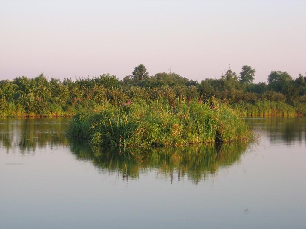 Варюшине з panoramio.com - Варюшино