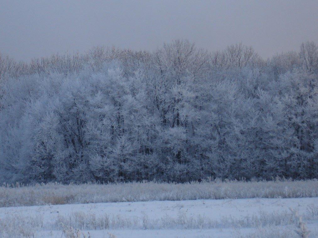 Олешки з panoramio.com - Олешки