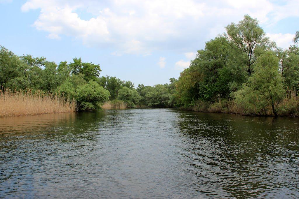 Канівське з panoramio.com - Каневское