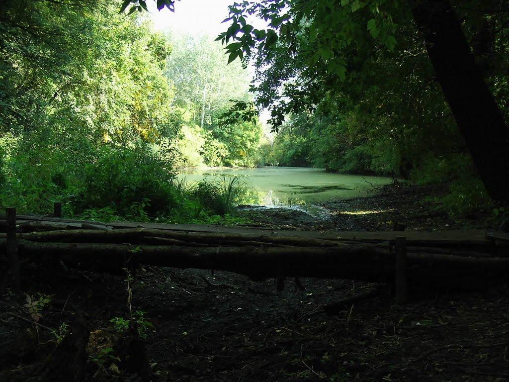 Приліпка з panoramio.com - Прилипка