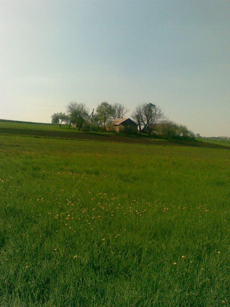 Сільце з panoramio.com - Сільце