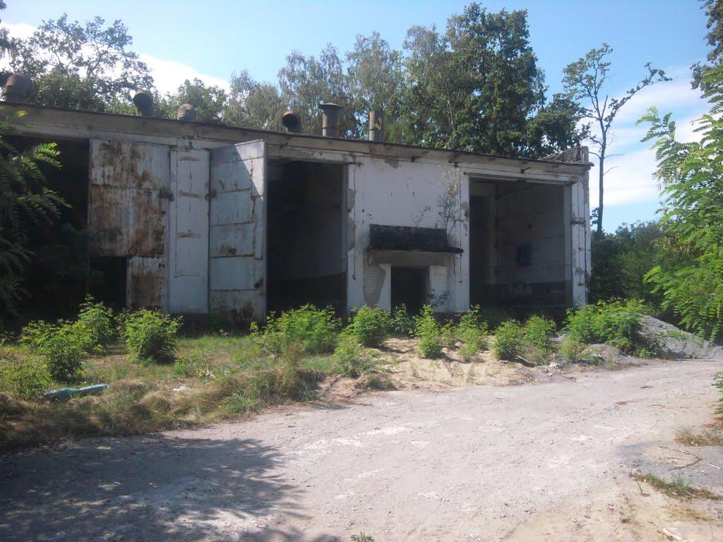 Кушкине з panoramio.com - Кушкино