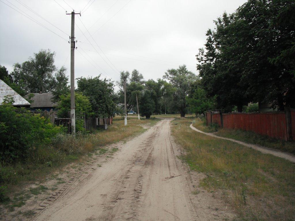 Любитове з panoramio.com - Любитово