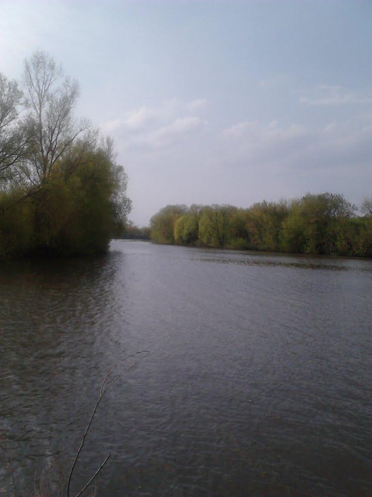 Капустинці з panoramio.com - Капустинці