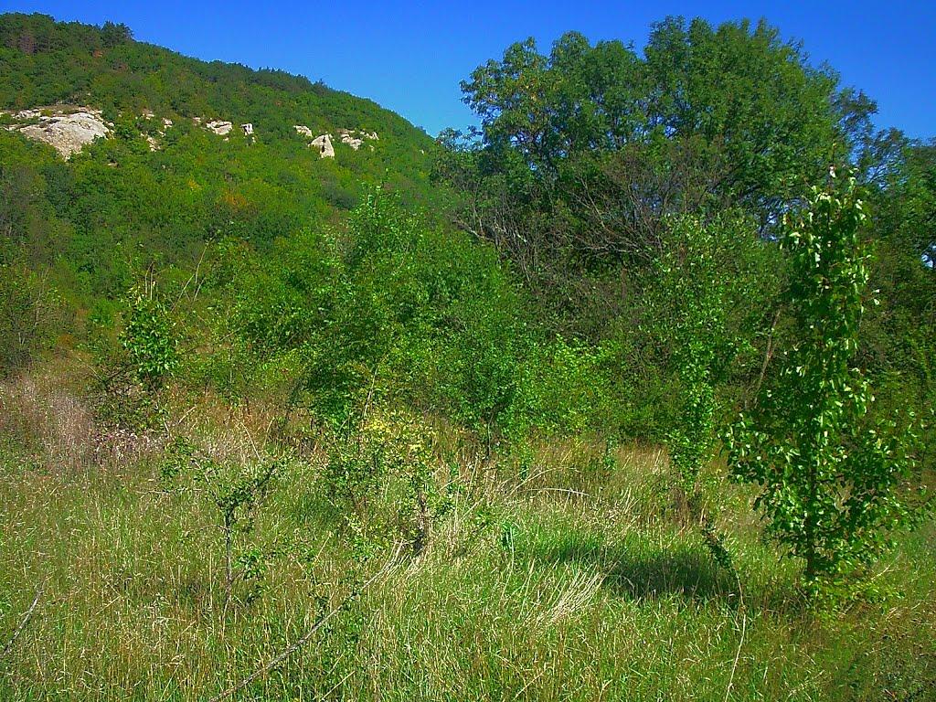 Високе з panoramio.com - Высокое