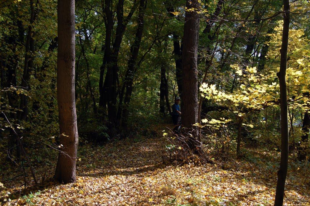 Рубіжне з panoramio.com - Рубежное