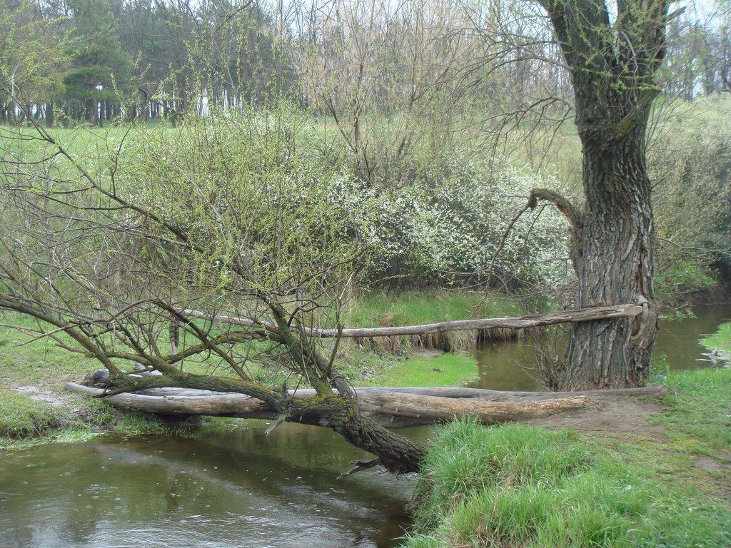 Гранітне з panoramio.com - Гранітне