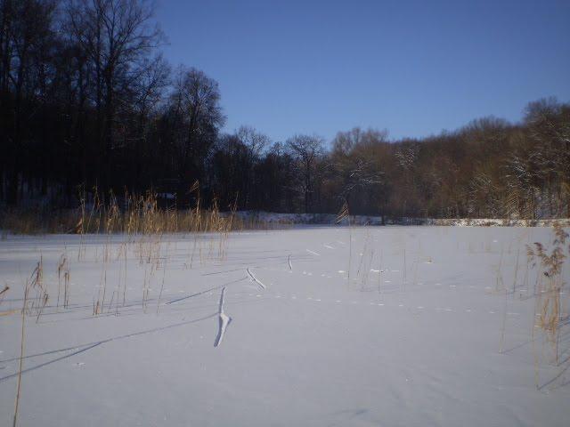 Петрівське з panoramio.com - Петрівське