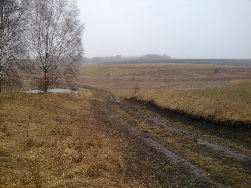 Нове з panoramio.com - Нове