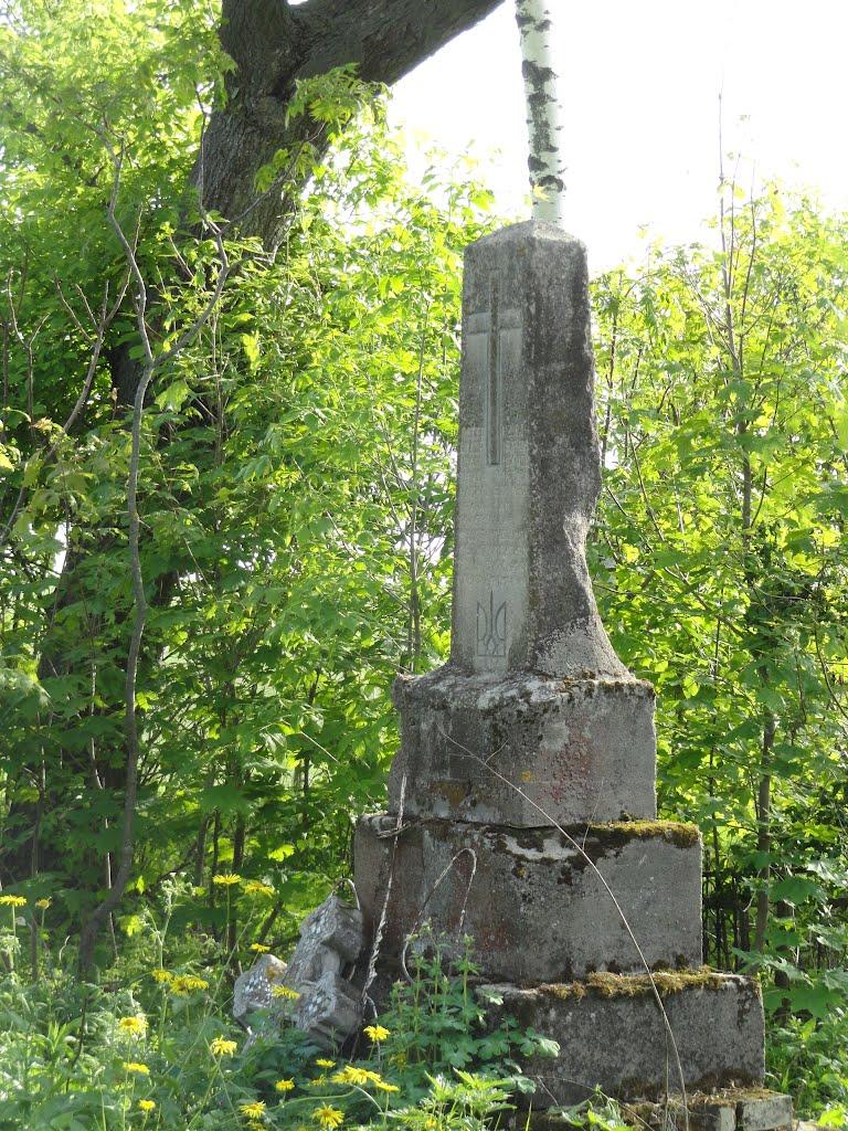 Буяни з panoramio.com - Буяни