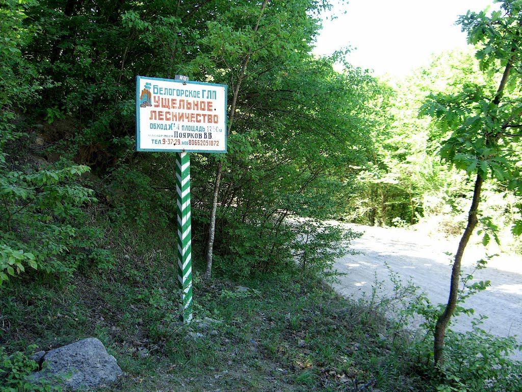 Красноселівка з panoramio.com - Красноселівка