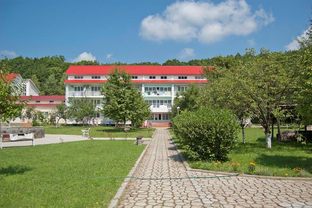 Виноградів з panoramio.com - Виноградов