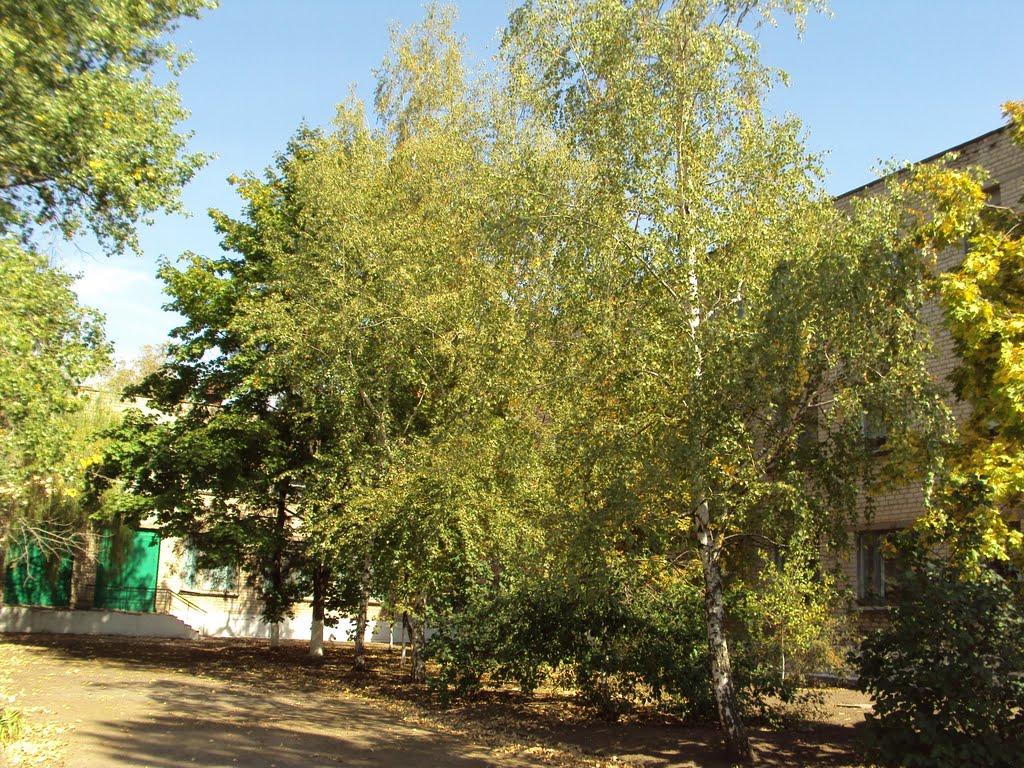 Андріївка з panoramio.com - Андреевка