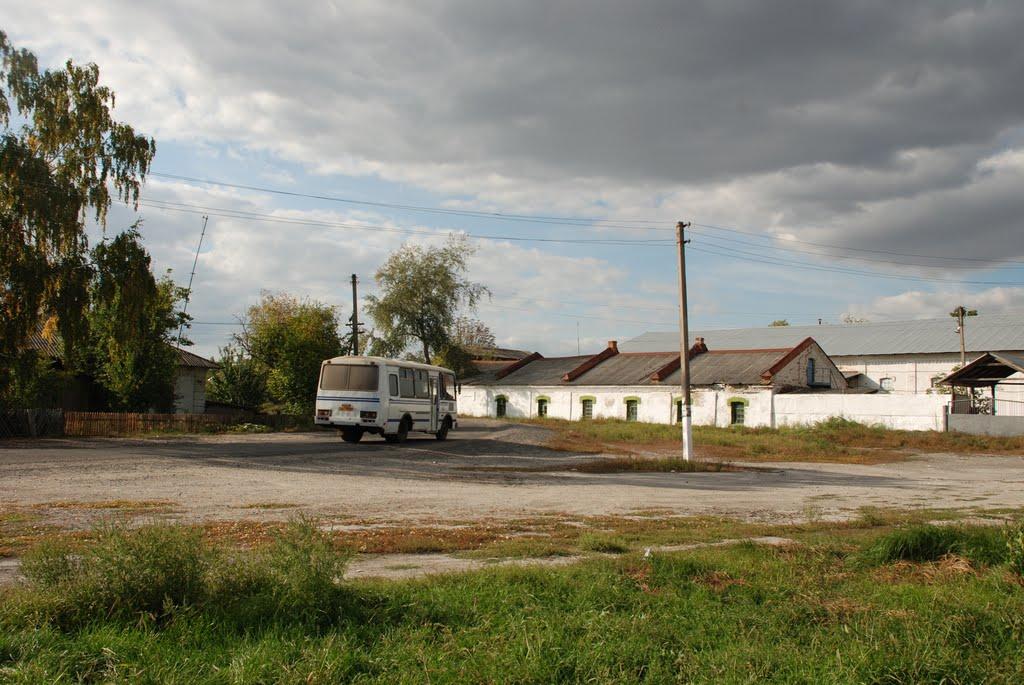 Пархомівка з panoramio.com - Пархомовка