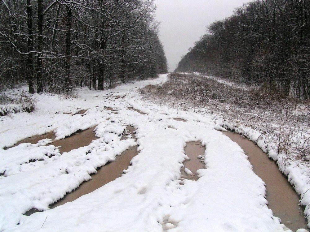 Гайдари з panoramio.com - Gaydary