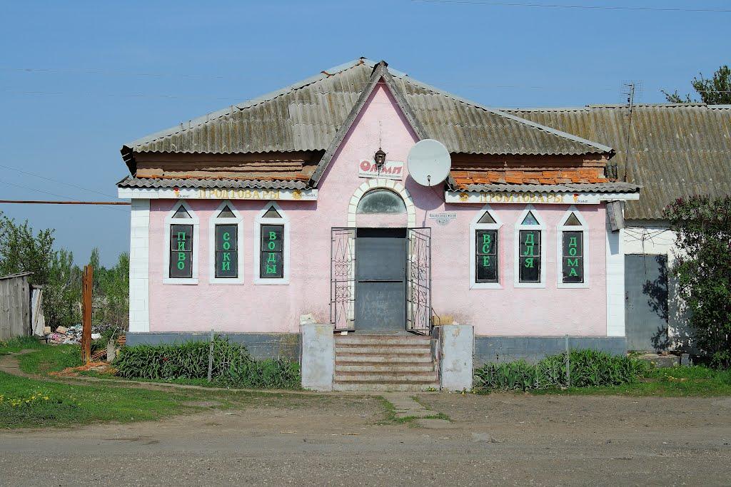 Олександро-Калинове з panoramio.com - Oleksandro-Kalynove
