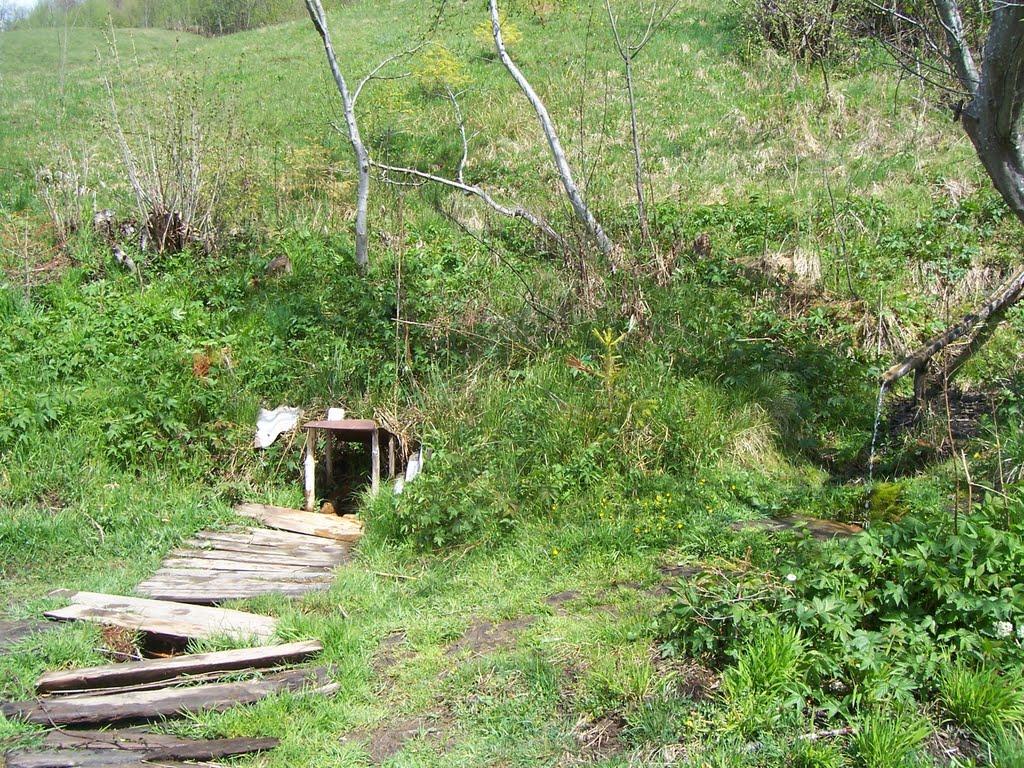 Кваси з panoramio.com - Kvasy