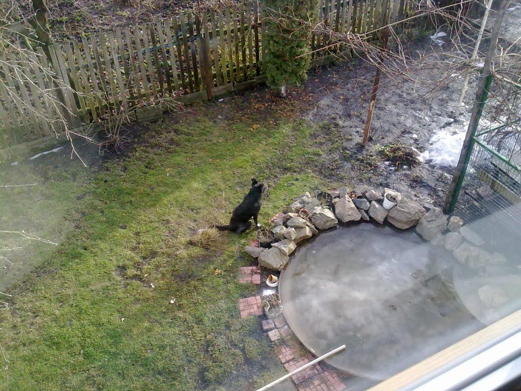 Устимівка з panoramio.com - Устимовка