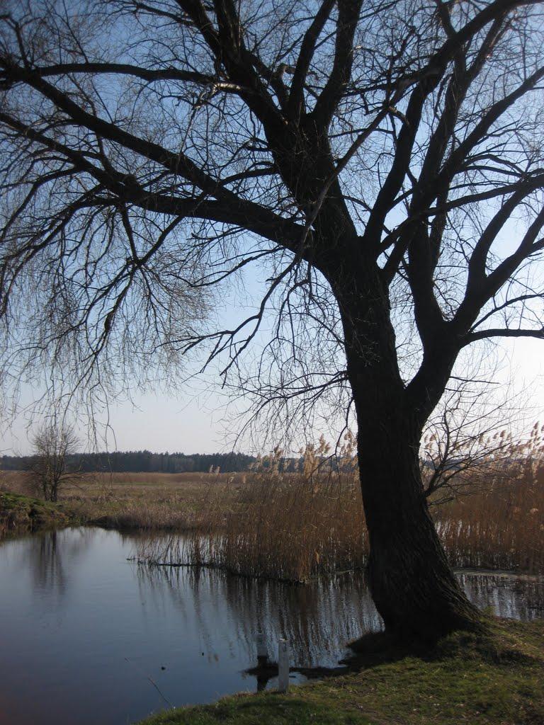 Михнівка з panoramio.com - Михновка