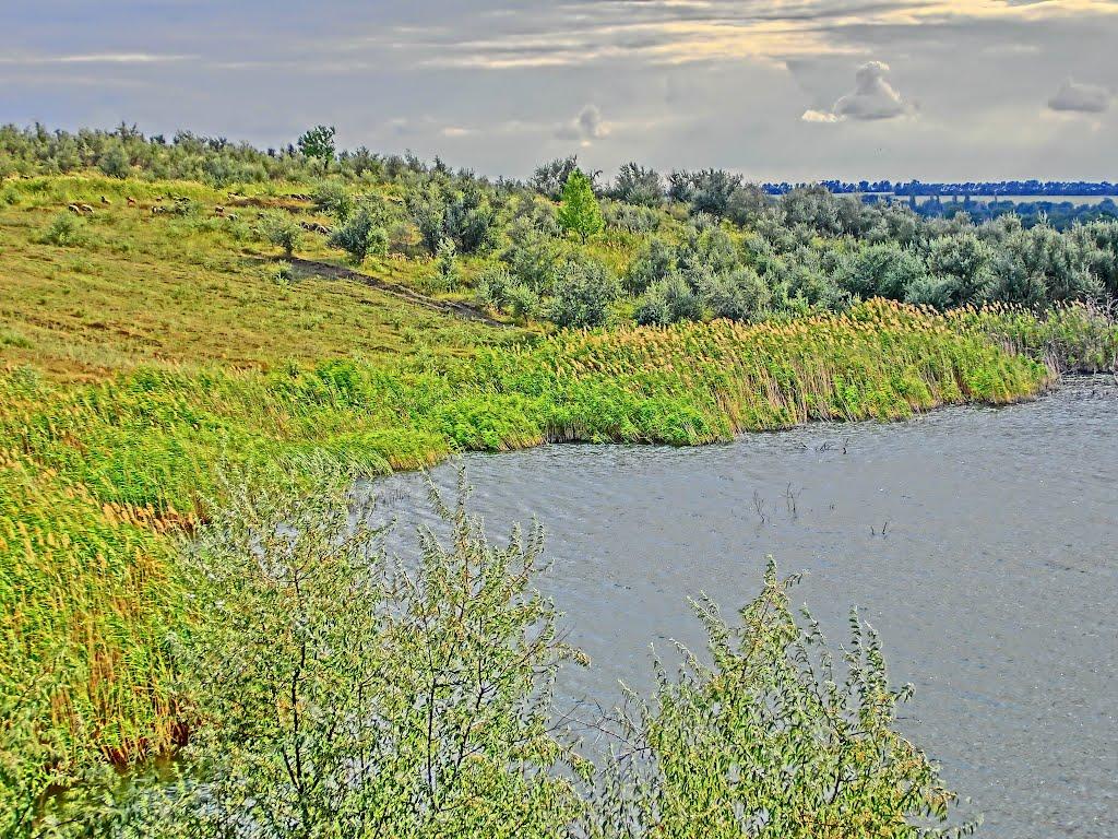 Ясинуватка з panoramio.com - Ясинуватка