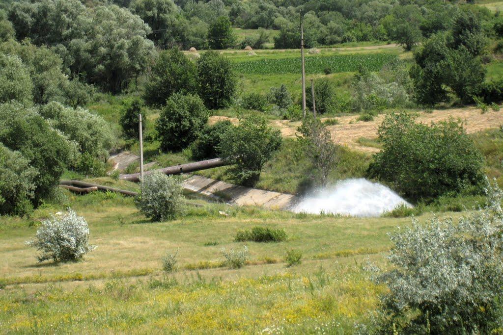 Кам'янка з panoramio.com - Каменка