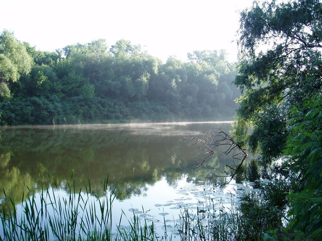 Кияшки з panoramio.com - Кияшки