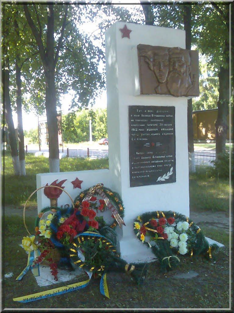 Дубовичі з panoramio.com - Дубовичі