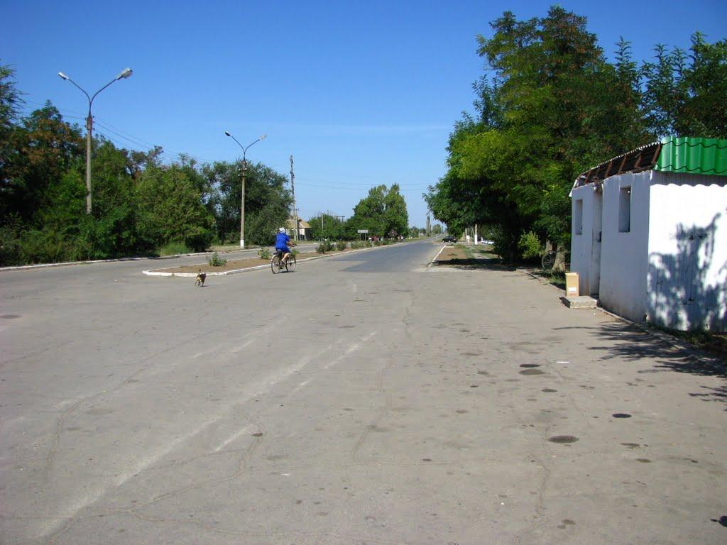 Давидівка з panoramio.com - Давидівка