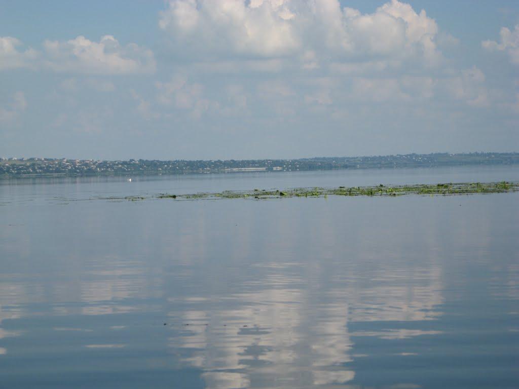 Канівське з panoramio.com - Каневское
