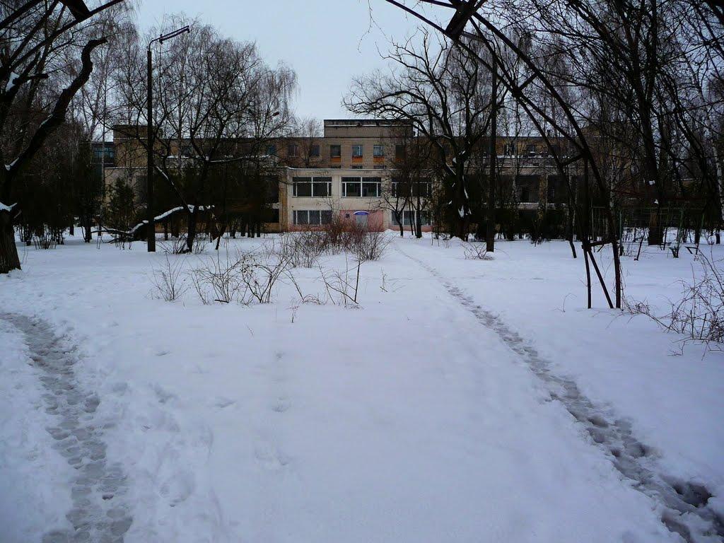 Кам'яне Поле з panoramio.com - Kamyane Pole