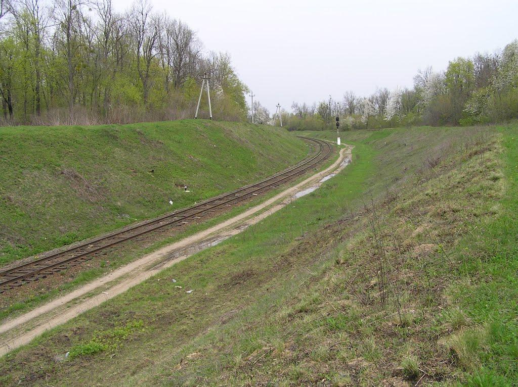 Копай з panoramio.com - Kopay