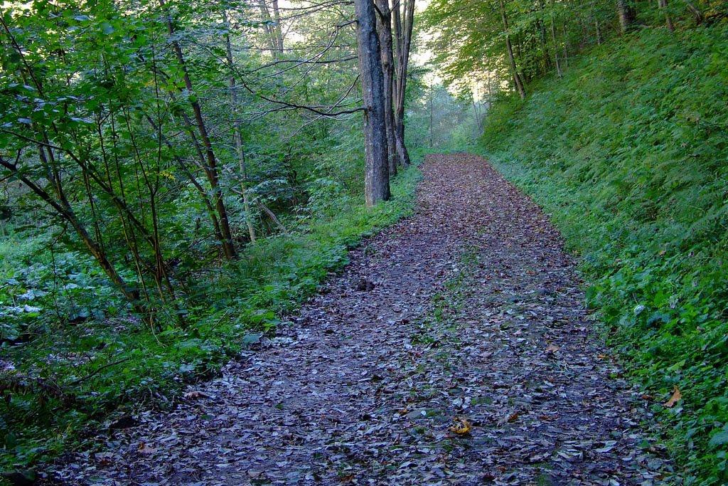 Вовчий з panoramio.com - Волчий