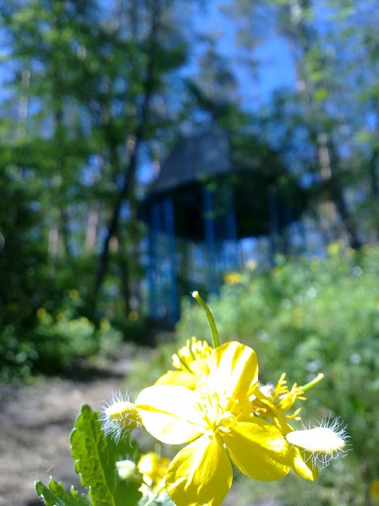 Горенка з panoramio.com - Горенка