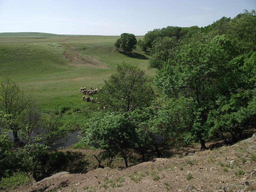 Черемшине з panoramio.com - Черемшино